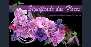 significadodasflores