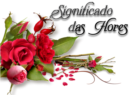 significadodasflores